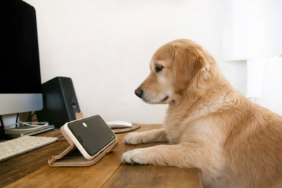 一般社団法人日本雇用環境整備機構