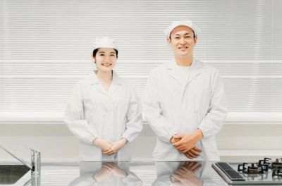 公益的人材派遣制度（JEE)