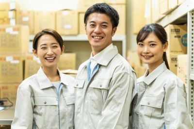 公益的人材派遣制度（JEE)